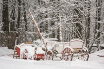 Сани для упряжки и карета без верха