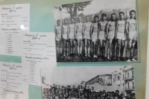 В Нижнем Новгороде открылась выставка Спортивный Горький, посвященная XXII Олимпийским играм в Сочи
