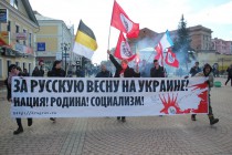 Участие в митинге приняло около 10 человек