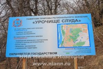 Информационная доска о принадлежности попавшей под вырубку деревьев территории к региональным памятникам природы находится в 10 метрах от места вырубки