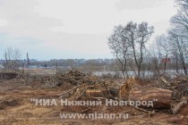 Деревья спилены на площади около 2 гектар