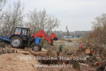 Вырубка деревьев на территории памятника природы регионального значения Урочище Слуда в Нижнем Новгороде