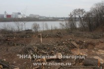 Более 500 деревьев спилено на территории памятника природы регионального значения Урочище Слуда в Нижнем Новгороде