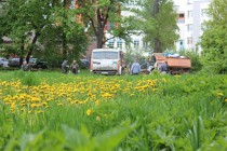 Экологическая акция Марш парков прошла в Нижнем Новгороде в парке имени Кулибина