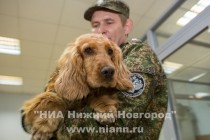 Пресс-тур на объекты приграничной таможенной инфраструктуры в международном аэропорту Стригино (Нижний Новгород)