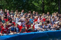 Дельфинарий под открытым небом открылся в Нижнем Новгороде