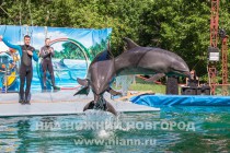 Дельфинарий под открытым небом открылся в Нижнем Новгороде