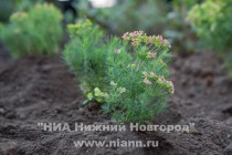 Открытие арт-объекта Рождественский маяк в Нижнем Новгороде