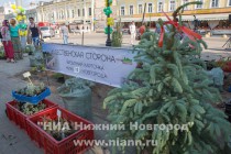 Открытие арт-объекта Рождественский маяк в Нижнем Новгороде