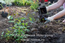 Открытие арт-объекта Рождественский маяк в Нижнем Новгороде