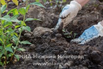 Открытие арт-объекта Рождественский маяк в Нижнем Новгороде