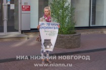 Акция в защиту прав животных в форме одиночных пикетов прошла в Нижнем Новгороде