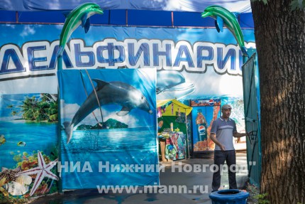 День открытых дверей для представителей средств массовой информации прошел в нижегородском дельфинарии