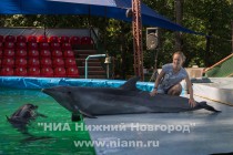 Однако, есть договоренность с инвесторами о развитии проекта, и к концу года объект обретет крышу и постепенно станет круглогодичным