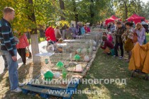 Фестиваль День улицы Рождественской