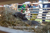 Фестиваль День улицы Рождественской