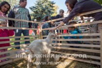 Фестиваль День улицы Рождественской