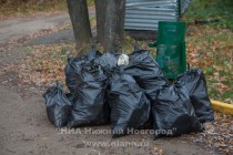В Нижнем Новгороде на Щелоковском хуторе прошла последняя в этом сезоне акция AntiСВИН