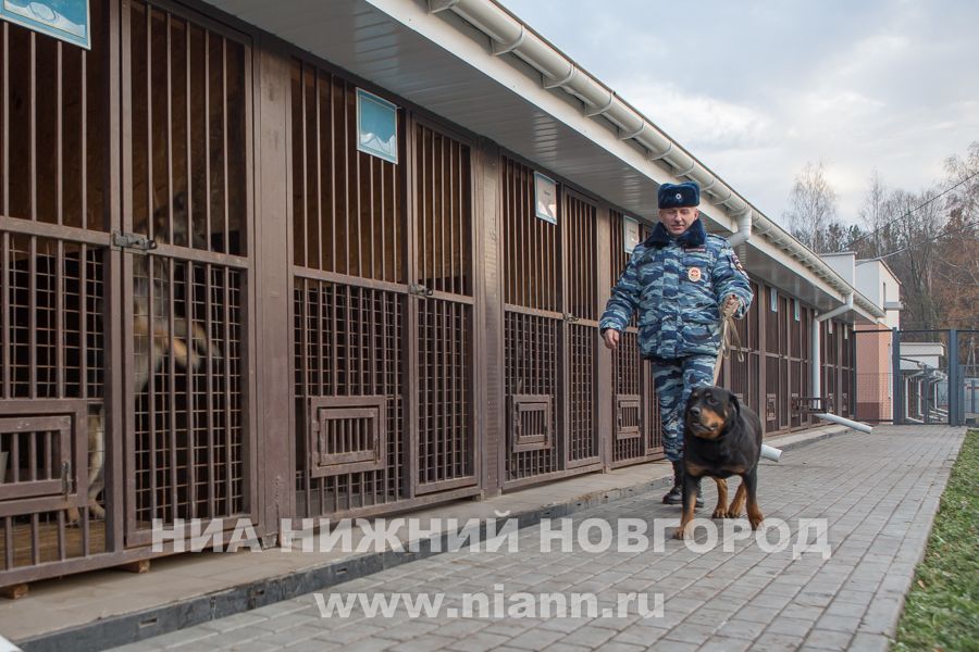 Проект кинологического центра для служебных собак