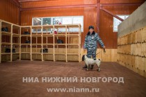 Открытие зонального кинологического центра в Нижнем Новгороде