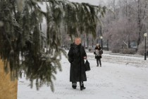 Ель простоит здесь примерно два месяца