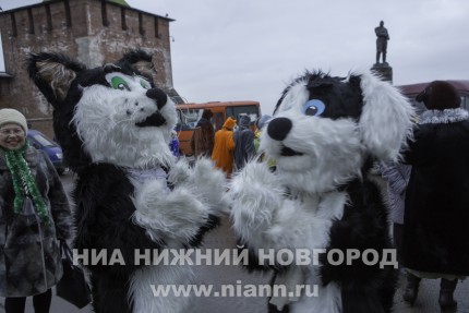 Церемония зажжения главной городской елки в Нижнем Новгороде