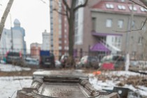 Парк Кулибина расположен в центральной части Нижнего Новгорода, на территории Петропавловского кладбища, закрытого в 1940 году