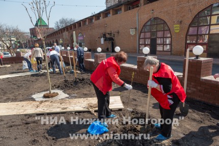 На территории Нижегородского кремля в рамках проекта Сирень Победы сотрудниками ЛУКОЙЛ заложена аллея сирени и каштанов