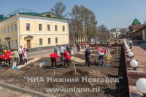 На территории Нижегородского кремля в рамках проекта Сирень Победы сотрудниками ЛУКОЙЛ заложена аллея сирени и каштанов