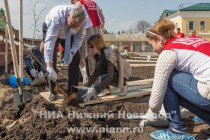 Аллея состоит из селекционных сортов деревьев и кустарников, специально выведенных селекционером Аладиным А.А. (г. Москва)