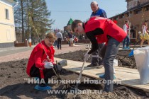 На территории Нижегородского кремля в рамках проекта Сирень Победы сотрудниками ЛУКОЙЛ заложена аллея сирени и каштанов