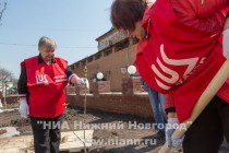 На территории Нижегородского кремля в рамках проекта Сирень Победы сотрудниками ЛУКОЙЛ заложена аллея сирени и каштанов