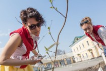 На территории Нижегородского кремля в рамках проекта Сирень Победы сотрудниками ЛУКОЙЛ заложена аллея сирени и каштанов