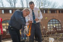 На территории Нижегородского кремля в рамках проекта Сирень Победы сотрудниками ЛУКОЙЛ заложена аллея сирени и каштанов