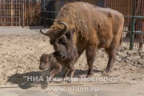 До этого у них уже рождались две дочки и два сына