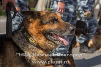 Смотр личного состава Нижегородского гарнизона полиции, привлекаемого к обеспечению охраны общественного порядка в Нижнем Новгороде