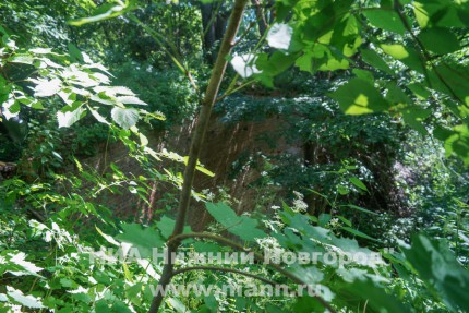 Выездное заседание Клуба парламентских журналистов в Воротынском районе Нижегородской области