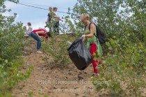 Акция AntiСвин по сбору мусора прошла на берегу Гребного канала в Нижнем Новгороде