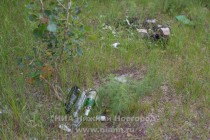 Акция AntiСвин по сбору мусора прошла на берегу Гребного канала в Нижнем Новгороде