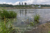 Акция AntiСвин по сбору мусора прошла на берегу Гребного канала в Нижнем Новгороде
