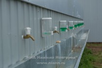 Пресс-тур на фестивальное поле в поселке Большое Козино в преддверии крупнейшего в России фестиваля электронной музыки и современных технологий Alfa Future People (AFP)