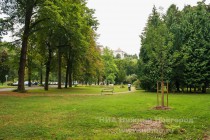 По соседству с отелем  Спа Ресорт Сан-суси находится японский парк