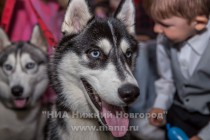 Общегородской благотворительный праздник для детей с особенностями развития Цветик-семицветик