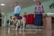 Голосование на выборах депутатов в Думу Нижнего Новгорода VI созыва на участке №2552