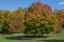 Рекламно-информационный тур в Большое Болдино для представителей федеральных СМИ, а также российских туроператоров