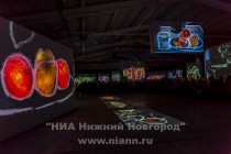 Мультимедийная выставка Великие импрессионисты открылась в Нижнем Новгороде