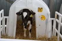 Выездное заседание Клуба парламентских журналистов в Бутурлинском районе Нижегородской области