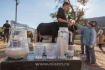 Еще на ферме можно попробовать молоко ослицы