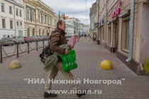 Орнитологи нашли еще одного розового фламинго, залетевшего в Нижегородскую область