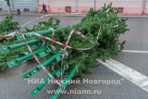 Монтаж главной новогодней елки начался в Нижнем Новгороде
